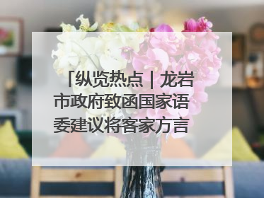 纵览热点｜龙岩市政府致函国家语委建议将客家方言“亻厓”字录入《新华字典》引发热议，当地回应