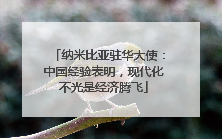 纳米比亚驻华大使：中国经验表明，现代化不光是经济腾飞