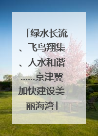 绿水长流、飞鸟翔集、人水和谐……京津冀加快建设美丽海湾