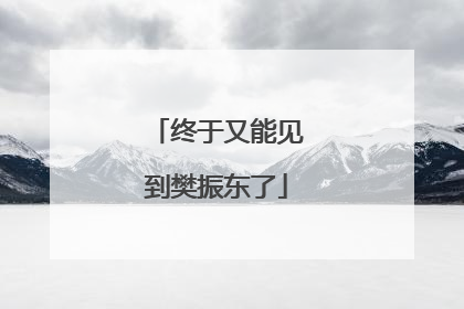 终于又能见到樊振东了