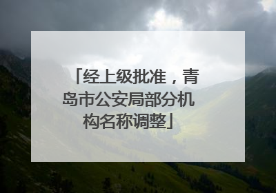 经上级批准，青岛市公安局部分机构名称调整