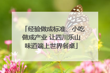 经验做成标准、小吃做成产业 让四川乐山味道端上世界餐桌