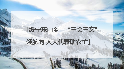 绥宁东山乡：“三会三文”领航向 人大代表助农忙
