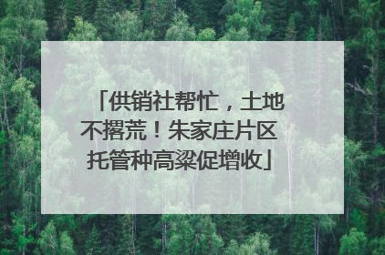 供销社帮忙，土地不撂荒！朱家庄片区托管种高粱促增收