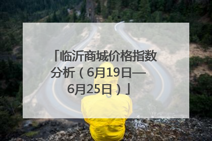 临沂商城价格指数分析（6月19日—6月25日）