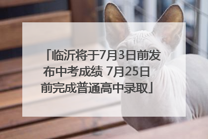 临沂将于7月3日前发布中考成绩 7月25日前完成普通高中录取