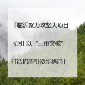 临沂聚力攻坚大项目招引 以“三重突破”打造招商引资新格局