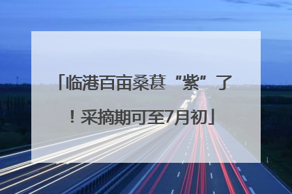 临港百亩桑葚“紫”了！采摘期可至7月初