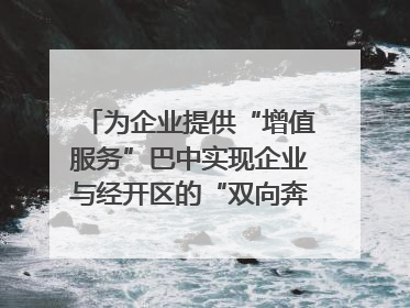 为企业提供“增值服务”巴中实现企业与经开区的“双向奔赴”｜川陕渝网络名人巴中行
