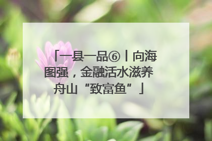 一县一品⑥丨向海图强，金融活水滋养舟山“致富鱼”