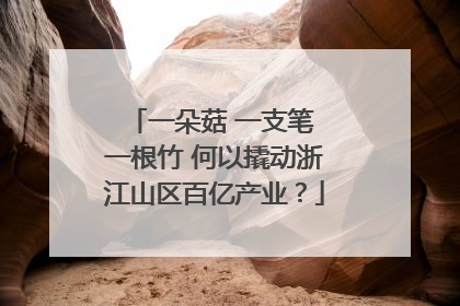 一朵菇 一支笔 一根竹 何以撬动浙江山区百亿产业？