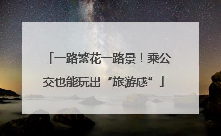 一路繁花一路景！乘公交也能玩出“旅游感”