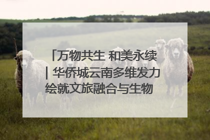 万物共生 和美永续｜华侨城云南多维发力 绘就文旅融合与生物多样性保护新图景