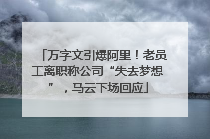 万字文引爆阿里！老员工离职称公司“失去梦想”，马云下场回应