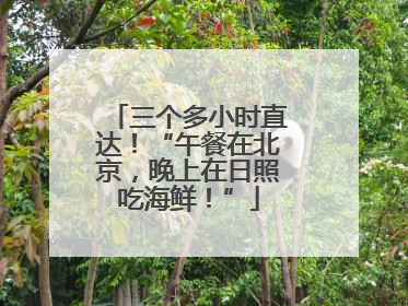 三个多小时直达！“午餐在北京，晚上在日照吃海鲜！”