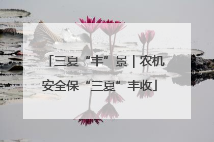 三夏“丰”景｜农机安全保“三夏”丰收