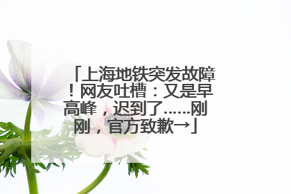上海地铁突发故障！网友吐槽：又是早高峰，迟到了……刚刚，官方致歉→
