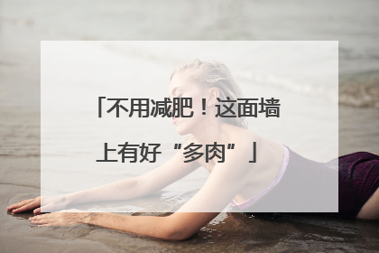 不用减肥！这面墙上有好“多肉”