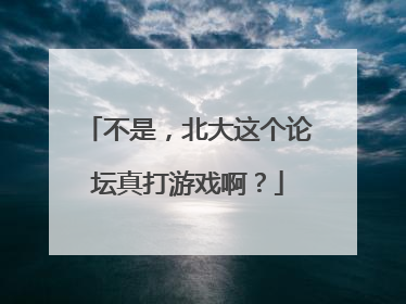 不是，北大这个论坛真打游戏啊？