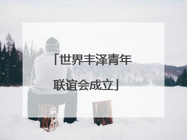 世界丰泽青年联谊会成立