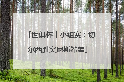 世俱杯丨小组赛：切尔西胜突尼斯希望