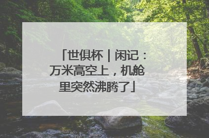 世俱杯｜闲记：万米高空上，机舱里突然沸腾了