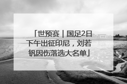 世预赛｜国足2日下午出征印尼，刘若钒因伤落选大名单