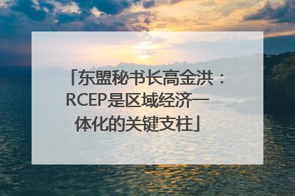 东盟秘书长高金洪：RCEP是区域经济一体化的关键支柱