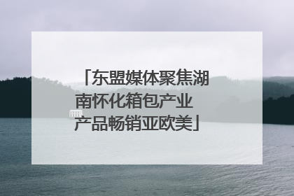 东盟媒体聚焦湖南怀化箱包产业 产品畅销亚欧美
