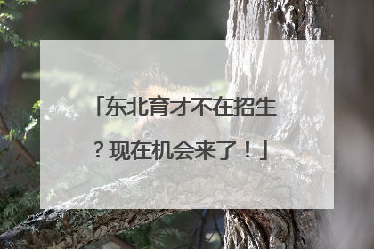 东北育才不在招生？现在机会来了！