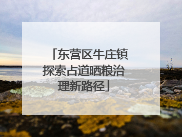 东营区牛庄镇探索占道晒粮治理新路径