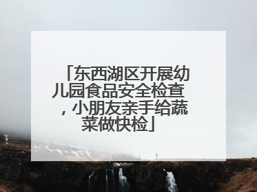 东西湖区开展幼儿园食品安全检查，小朋友亲手给蔬菜做快检