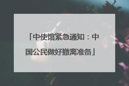 中使馆紧急通知：中国公民做好撤离准备