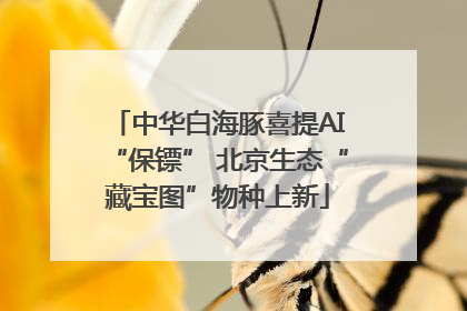 中华白海豚喜提AI“保镖” 北京生态“藏宝图”物种上新