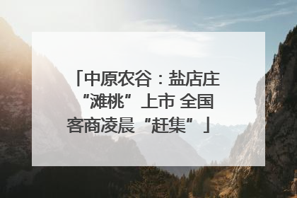中原农谷：盐店庄“滩桃”上市 全国客商凌晨“赶集”