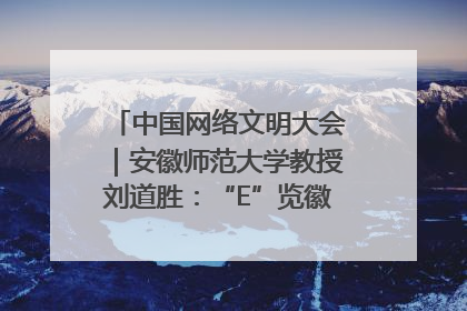 中国网络文明大会｜安徽师范大学教授刘道胜：“E”览徽风，构筑中华民族共有精神家园