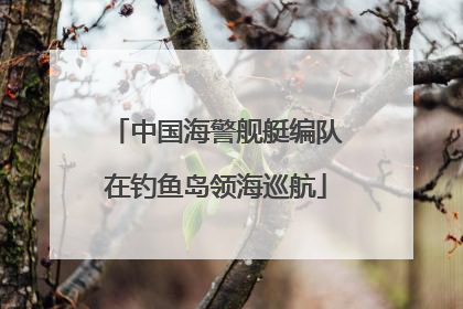 中国海警舰艇编队在钓鱼岛领海巡航