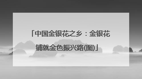 中国金银花之乡：金银花铺就金色振兴路(图)