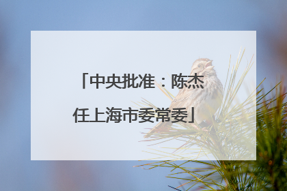 中央批准：陈杰任上海市委常委