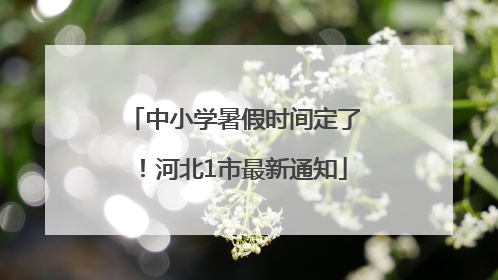 中小学暑假时间定了！河北1市最新通知