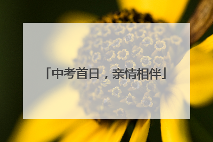 中考首日，亲情相伴