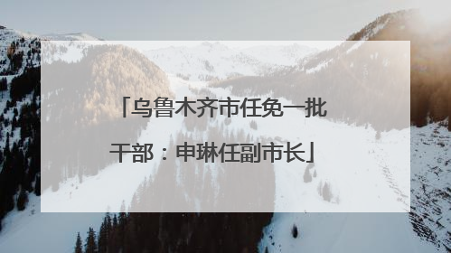 乌鲁木齐市任免一批干部：申琳任副市长