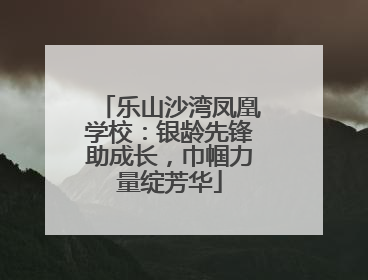 乐山沙湾凤凰学校：银龄先锋助成长，巾帼力量绽芳华