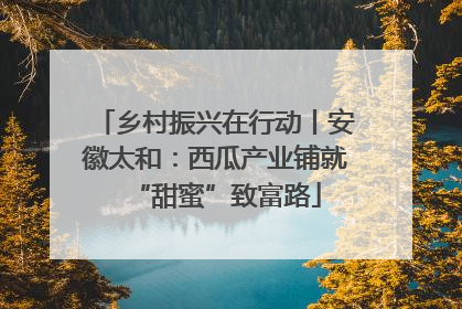乡村振兴在行动丨安徽太和：西瓜产业铺就“甜蜜”致富路