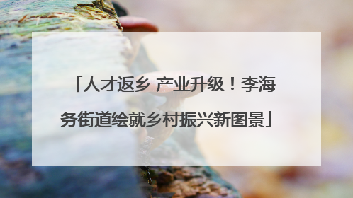 人才返乡 产业升级！李海务街道绘就乡村振兴新图景