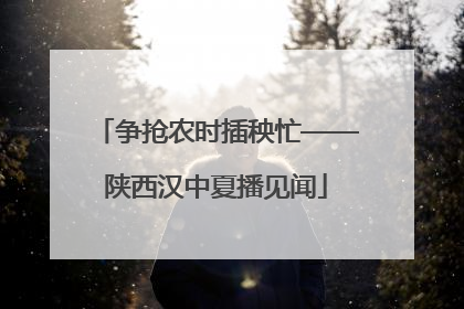 争抢农时插秧忙——陕西汉中夏播见闻