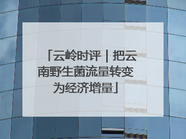 云岭时评｜把云南野生菌流量转变为经济增量