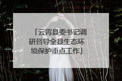 云霄县委书记调研督导全县生态环境保护重点工作