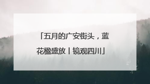五月的广安街头，蓝花楹盛放丨镜观四川