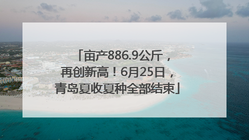 亩产886.9公斤，再创新高！6月25日，青岛夏收夏种全部结束